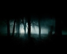 14769_forest_dark_fog_dark_forest